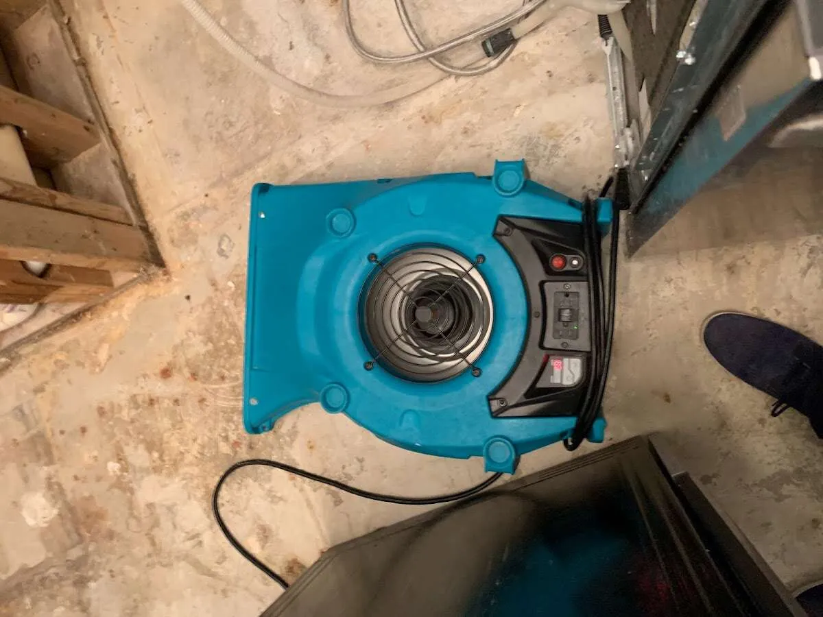 Air mover drying equipment for Mold Remediation & Removal in Seminole